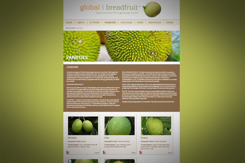 Breadfruit_Grab3