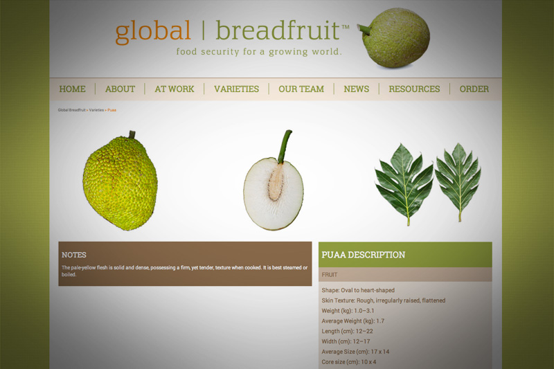 Breadfruit_Grab4