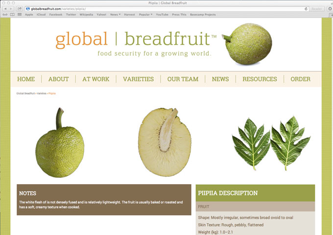 Global Breadfruit Web_2